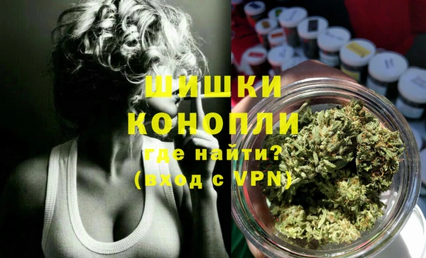 PSILOCYBIN Богородск