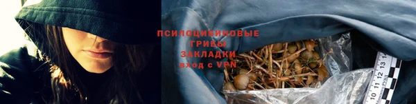 PSILOCYBIN Богородск