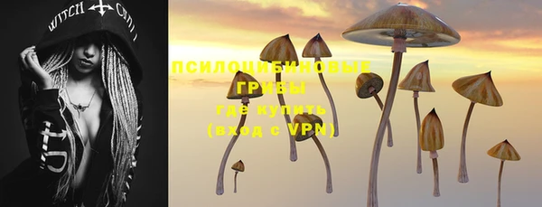 PSILOCYBIN Богородск