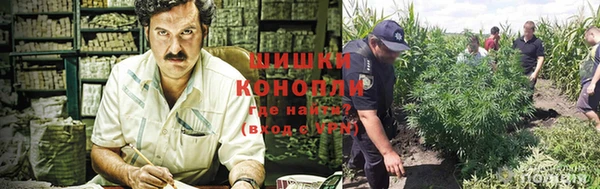 дурь Богданович