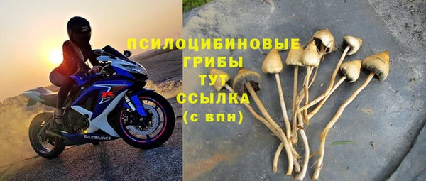 дурь Богданович