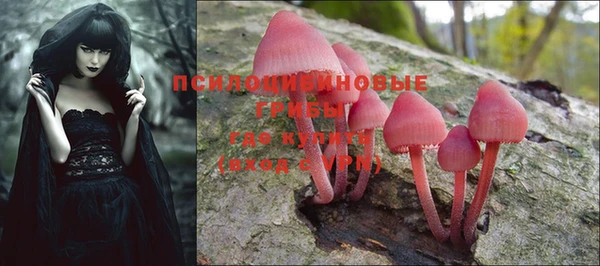 PSILOCYBIN Богородск